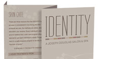 Identity Salon branding and brochure.