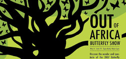 Butterfly festival poster.